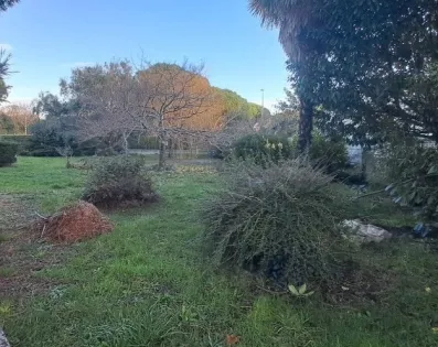 Image du modèle de maison photo terrain breuillet 2-eglise