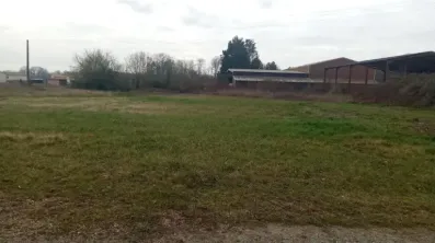 Image du modèle de maison wmremove-transformed (1)