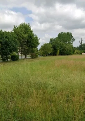 Image du modèle de maison Capture d'écran 2026-04-12 201750