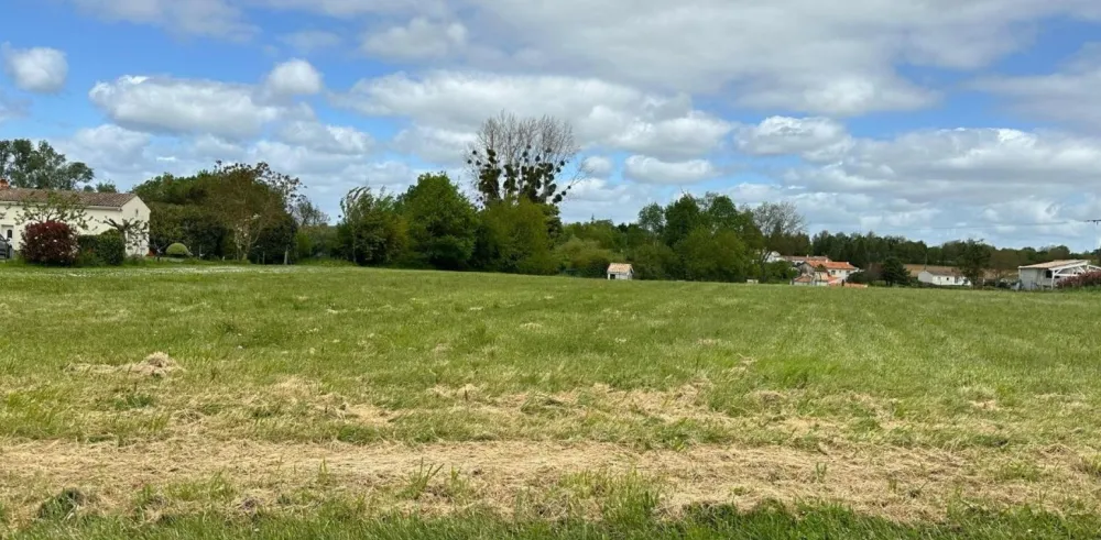 Image du modèle de maison Capture d'écran 2026-04-12 201743