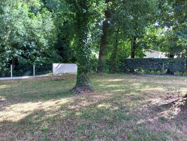 Image du modèle de maison wmremove-transformed (1)
