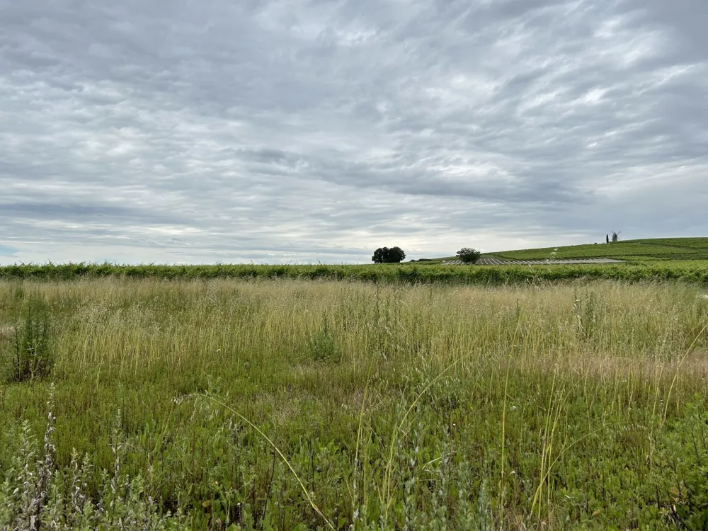 Image du terrain Terrain à bâtir de 2172 m² à SAINTE-LHEURINE (17)