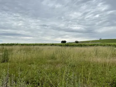 Image du modèle de maison Vue de derrière Thevenin