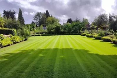 Image du modèle de maison mereville 740m²