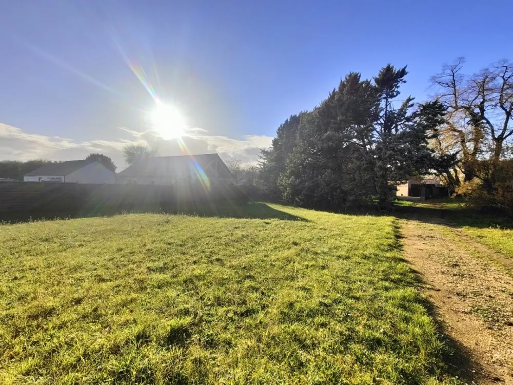 Image du modèle de maison IMG20251117150932