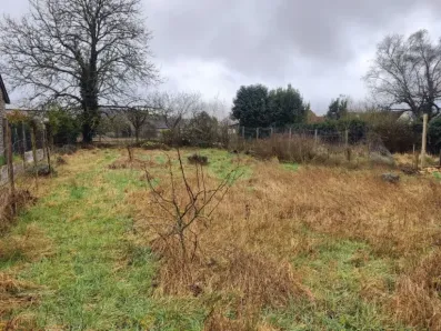 Image du modèle de maison IMG20260223112155