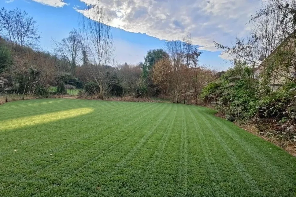 Image du modèle de maison hoqi-95636a39eda0489083b31e146463c96c