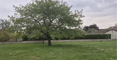Image du modèle de maison Capture d’écran 2026-05-05 à 18.04.30