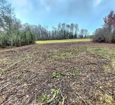 Image du modèle de maison Capture d’écran 2026-05-15 à 14.16.16
