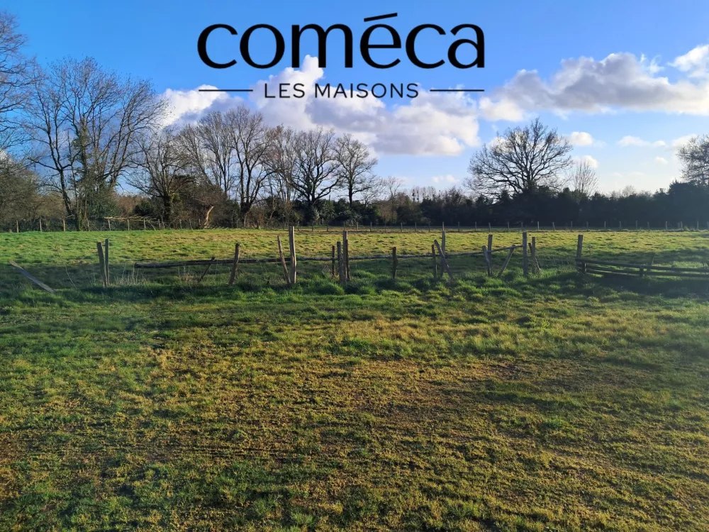 Image du modèle de maison 20250225_173409