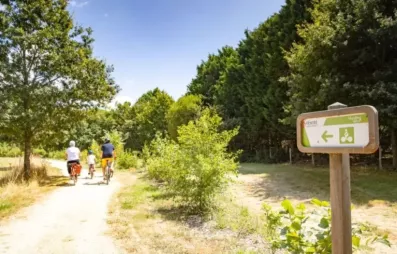Image du modèle de maison campagne LA MOTHE ACHARD