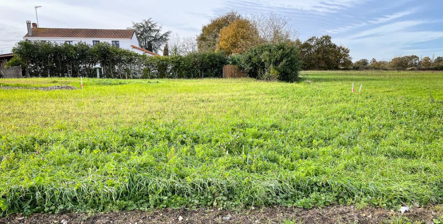 Image du modèle de maison Capture d’écran 2025-09-04 103152