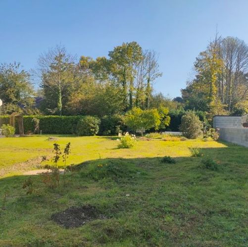 Image du modèle de maison Capture d’écran 2025-11-10 143138