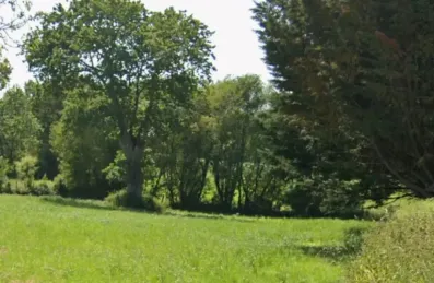 Image du modèle de maison Terrain campbon