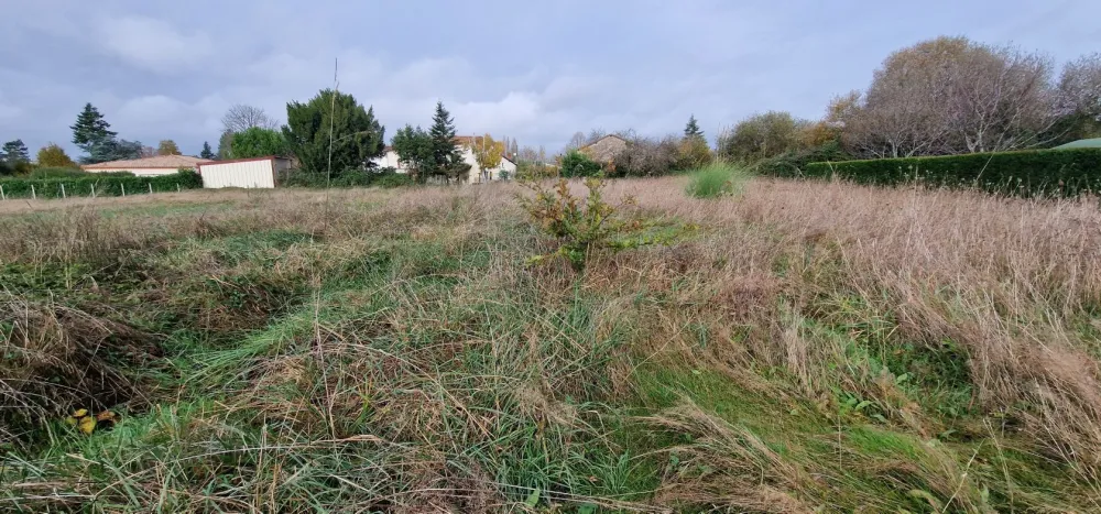 Image du modèle de maison 20231117_111039
