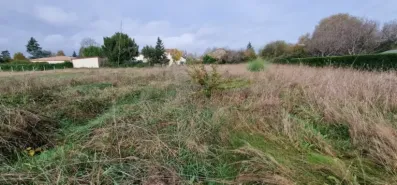 Image du modèle de maison 20231117_111039
