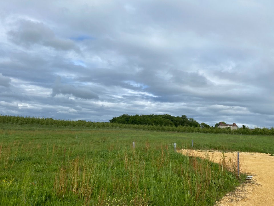 Image du terrain Terrain à bâtir à Saint-Nexans (24520)