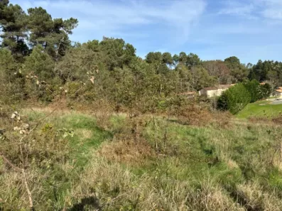 Image du modèle de maison 2098185-11104annonce220250306Q5Zdv.jpeg