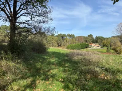 Image du modèle de maison 2098194-11104annonce320250306l8xlb.jpeg