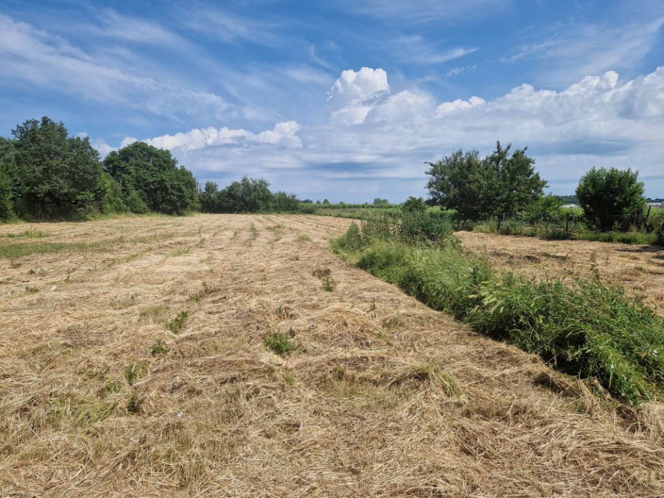 Image du terrain Terrain à bâtir à Ladaux (33760)