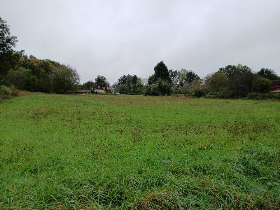 Image du terrain Terrain à bâtir à Verteillac (24320)