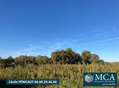 Image du modèle de maison 2101687-5828annonce120250310bGWiM.jpeg