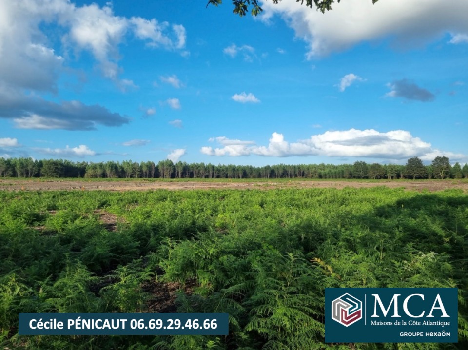 Image du modèle de maison 2101725-5828annonce120250310fTzsl.jpeg