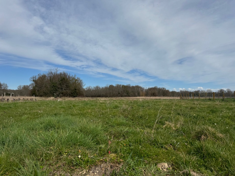 Image du terrain Terrain à bâtir à Civrac-en-Médoc (33340)