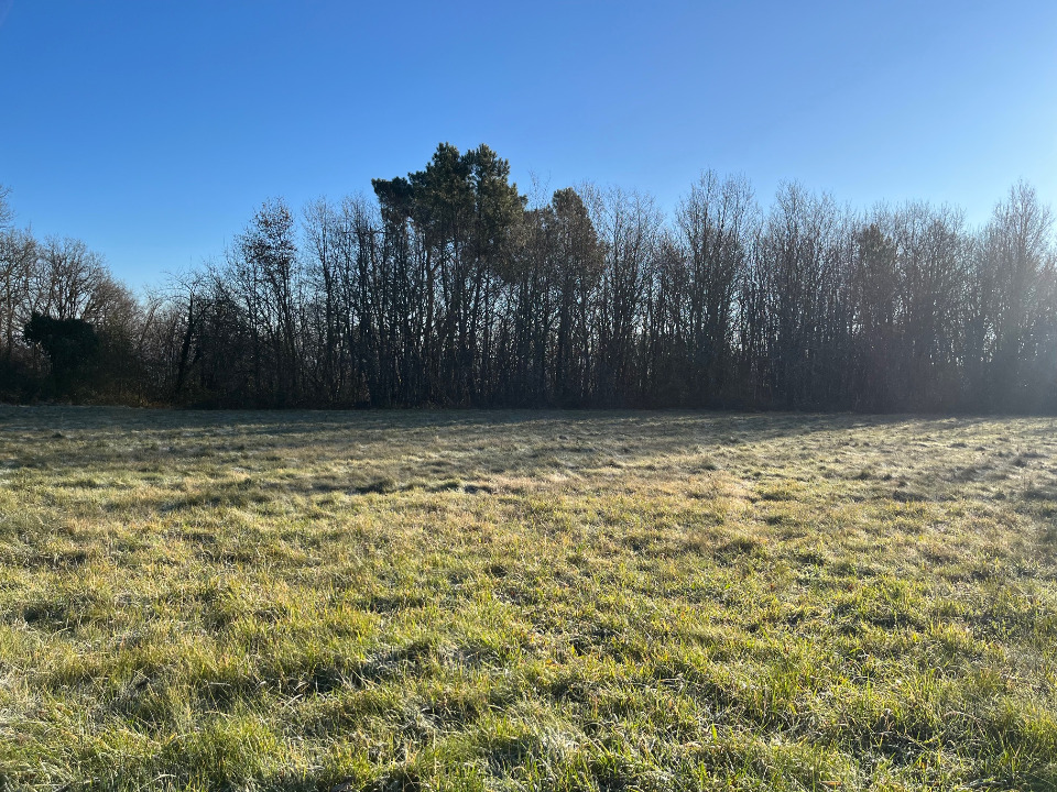 Image du terrain Terrain à bâtir à Domme (24250)