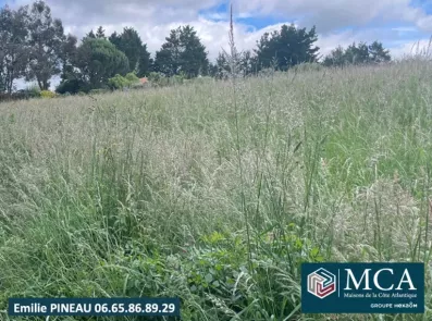 Image du modèle de maison 2104191-5828annonce120250312FcEhO.jpeg