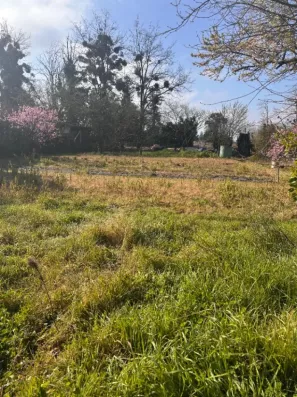 Image du modèle de maison 2106043-7300annonce120250314LBsz3.jpeg