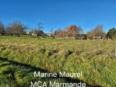 Image du modèle de maison 2106826-11161annonce220250314molTr.jpeg