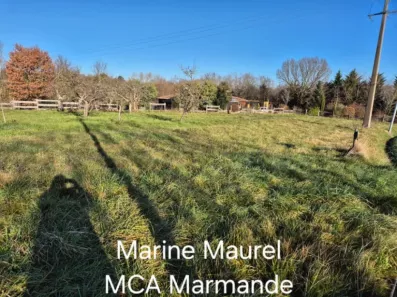 Image du modèle de maison 2106826-11161annonce320250314upRff.jpeg