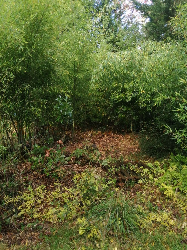 Image du modèle de maison 2108442-11016annonce120250317NHvaB.jpeg