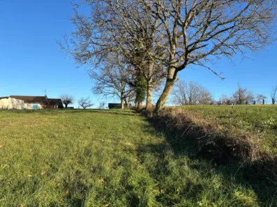 Image du modèle de maison 2113998-11104annonce120250321AJJOf.jpeg