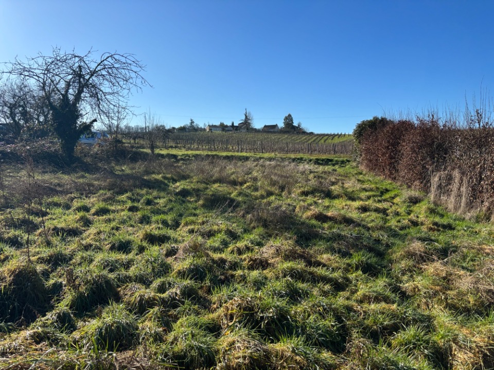 Image du modèle de maison 2114735-11104annonce520250322obulE.jpeg