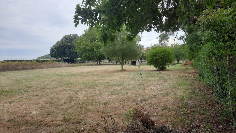Image du terrain Terrain à bâtir à Civrac-en-Médoc (33340)