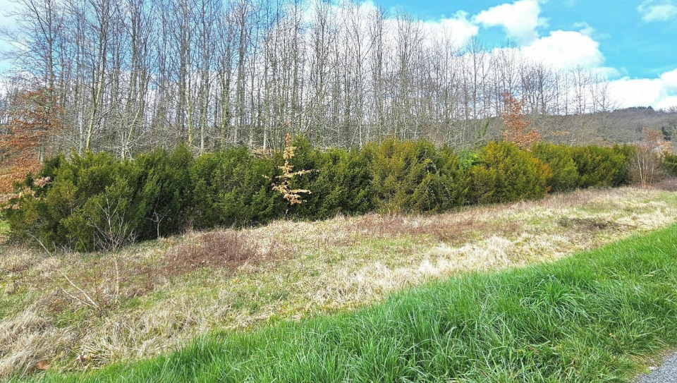 Image du terrain Terrain à bâtir à Peyrillac-et-Millac (24370)