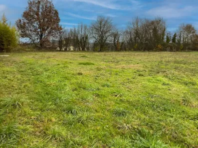 Image du modèle de maison 2122032-11160annonce220250401e1IRu.jpeg