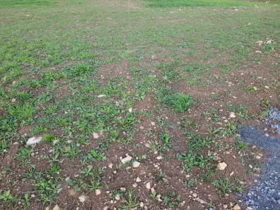 Image du modèle de maison 2122269-10770annonce120250331DnNZk.jpeg