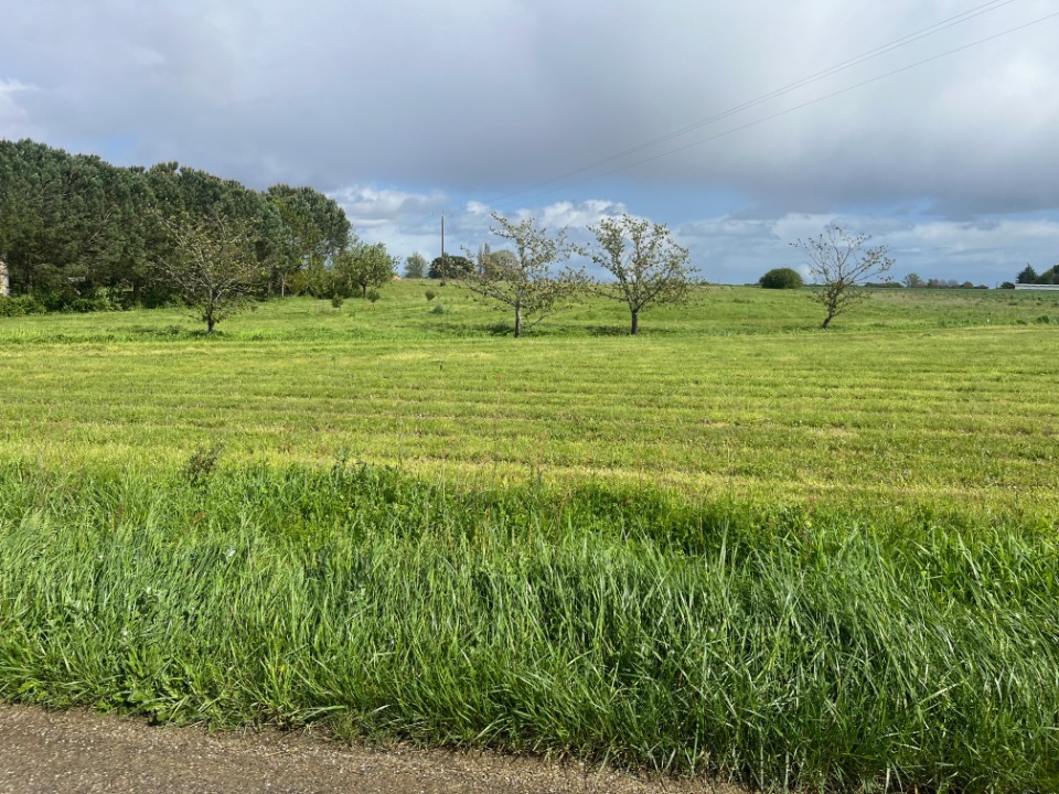 Image du terrain Terrain à bâtir à Caumont-sur-Garonne (47430)