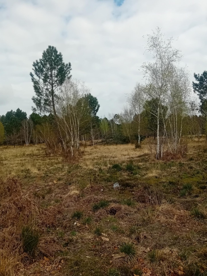 Image du terrain Terrain à bâtir à Gujan-Mestras (33470)