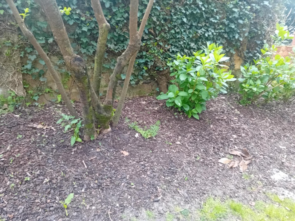 Image du modèle de maison 2124133-11244annonce2202504038awxQ.jpeg