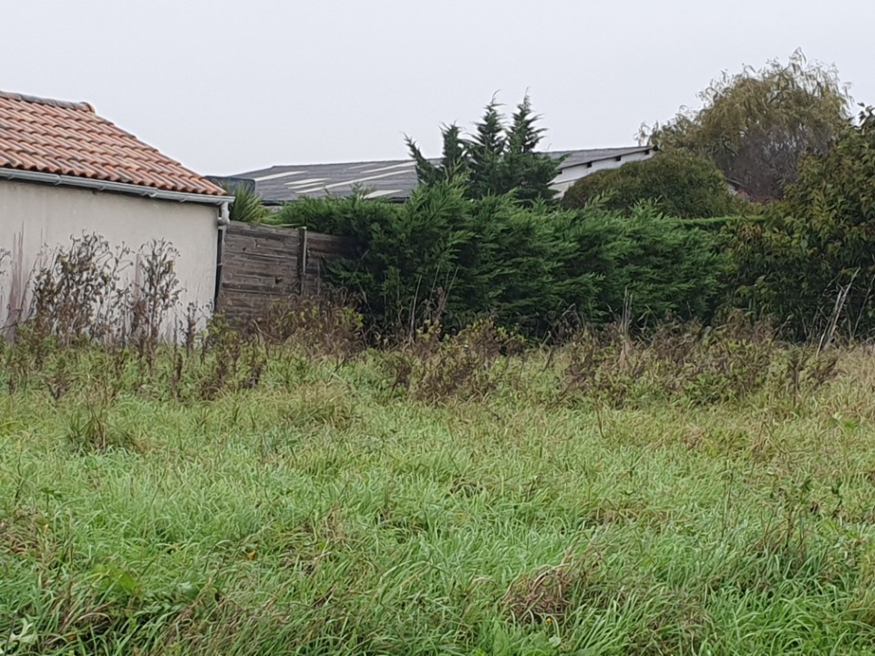 Image du modèle de maison 2125531-11015annonce120250405GteAR.jpeg