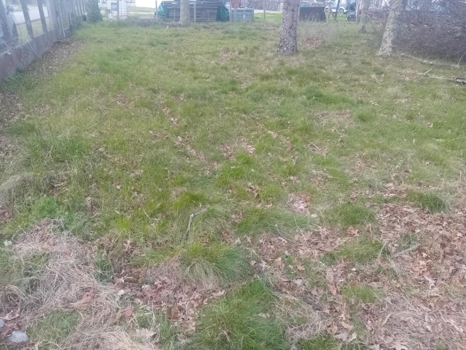 Image du modèle de maison 2126670-11244annonce420250407nvAKC.jpeg