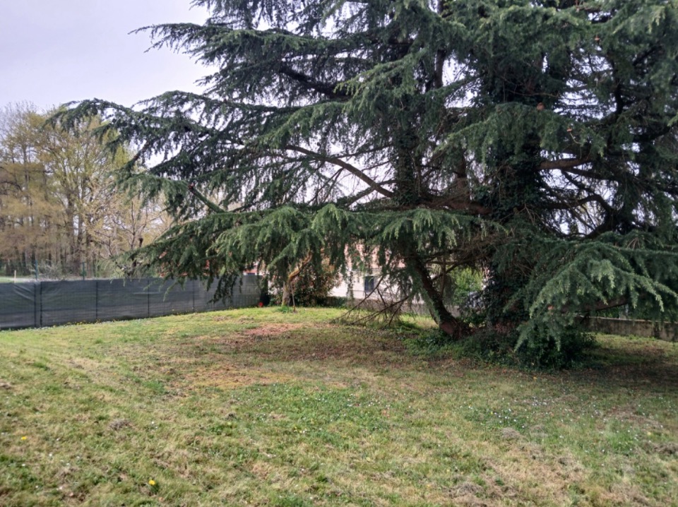 Image du modèle de maison 2126711-11193annonce120250407rRKeP.jpeg