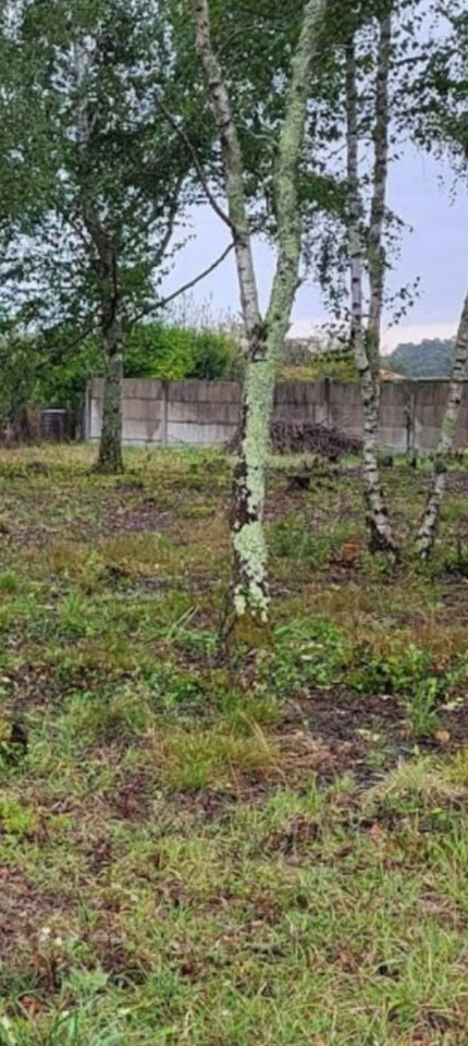 Image du modèle de maison 2126862-11244annonce120250407E6Dil.jpeg