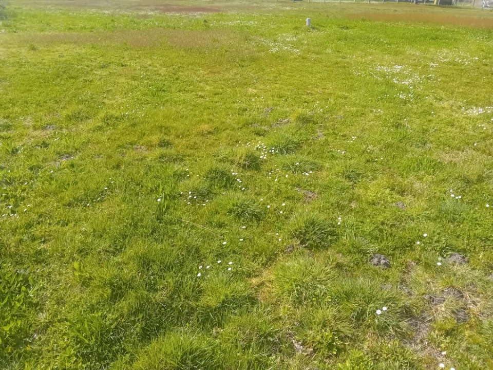 Image du modèle de maison 2126901-11244annonce220250407qDJRb.jpeg