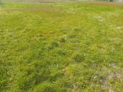 Image du modèle de maison 2126901-11244annonce220250407qDJRb.jpeg