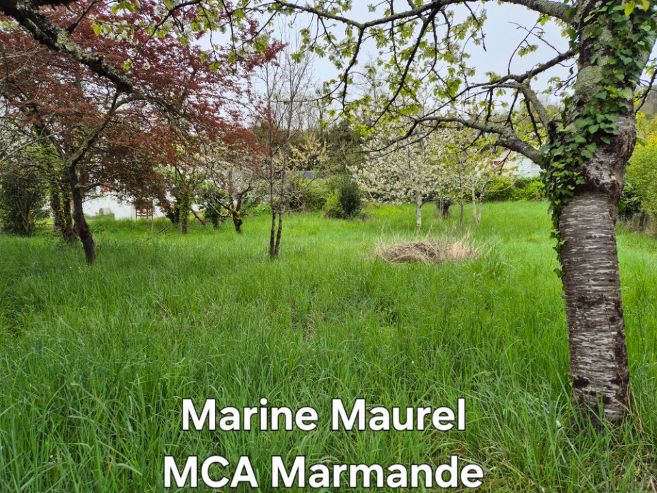 Image du modèle de maison 2127500-11161annonce120250408Fa5P4.jpeg